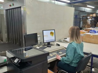 Служебный лабрадор Балу помог изъять 150 кг наркотических веществ в аэропорту Шереметьево