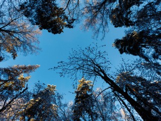 Подмосковье возглавило экологический рейтинг страны: что отметили эксперты и как оценили проделанную работу жители