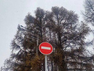 Когда, на сколько и почему: на Дмитровском шоссе ограничат движение