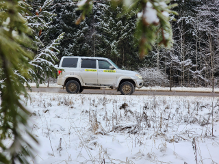 Бородинский лес становится чище и безопаснее: важные изменения грядут