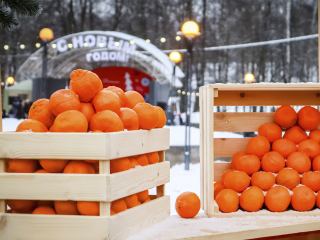Не больше половинки: врачи из Зарайска не советуют давать детям много мандаринов