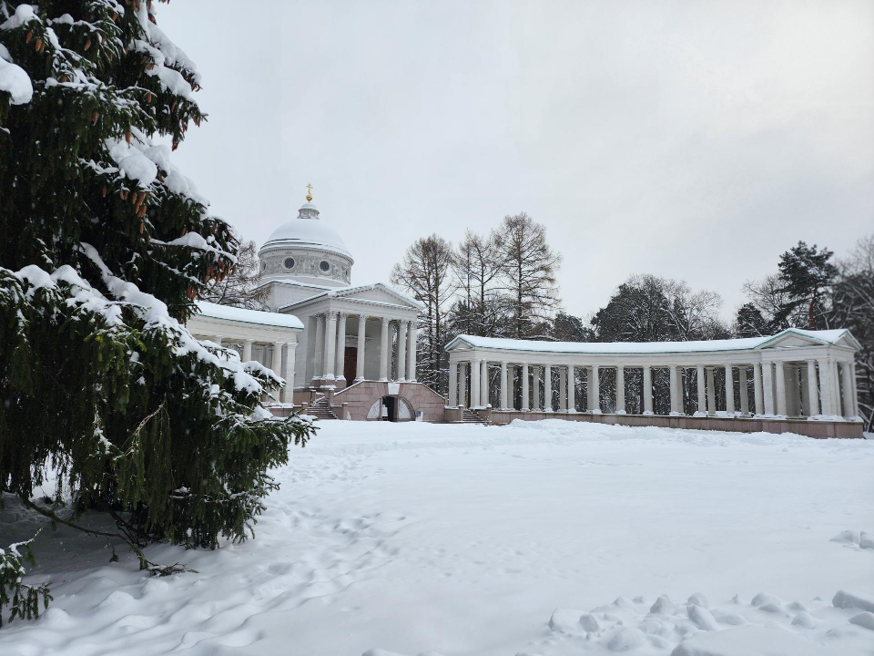 С любовью к музыке, фарфору и путешествиям: три новые выставки о наследии Юсуповых открылись в музее-заповеднике «Архангельское» под Красногорском