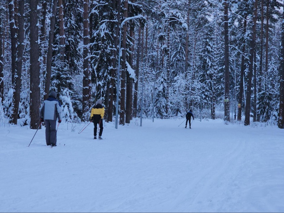 Стало известно, где в Егорьевске можно покататься на лыжах