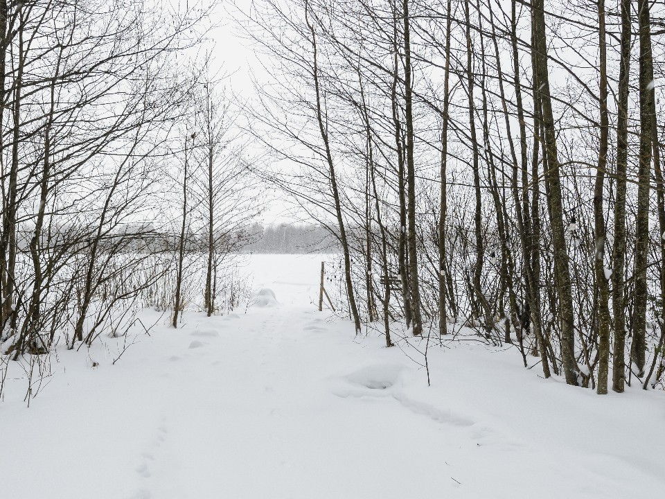 Тонкий лед в Истре: сколько сантиметров сейчас и почему выходить на водоемы опасно