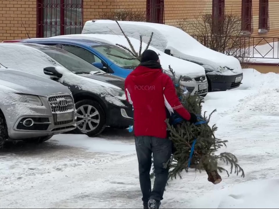 Как сдать новогоднюю елку на переработку в Подольске: правила подготовки и адреса площадок