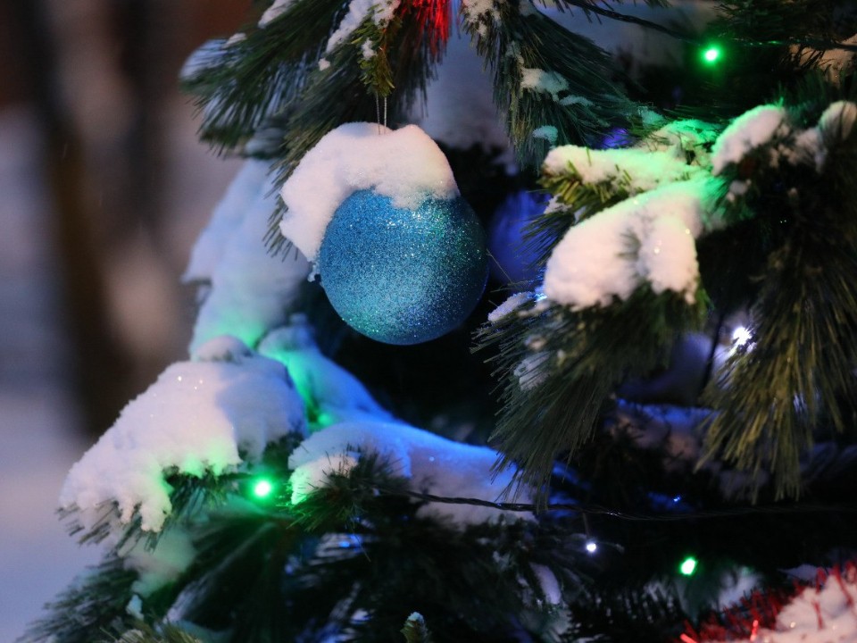 Итоги новогодней ночи: статистика служб и первые новорожденные в 2026 году