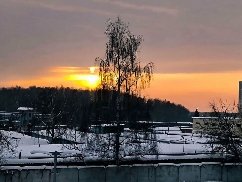 Зима усиливается: какая погода ждет жителей Подмосковья 16 января