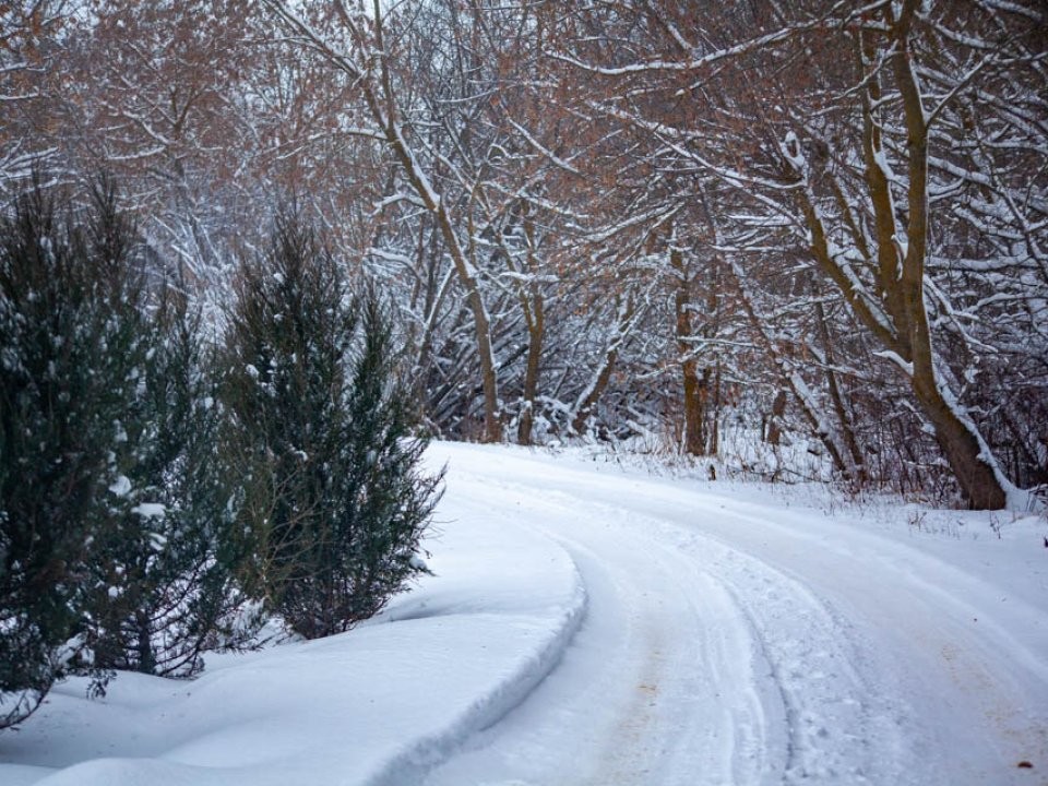 Морозы крепнут: как антициклон повлияет на погоду в Подмосковье?