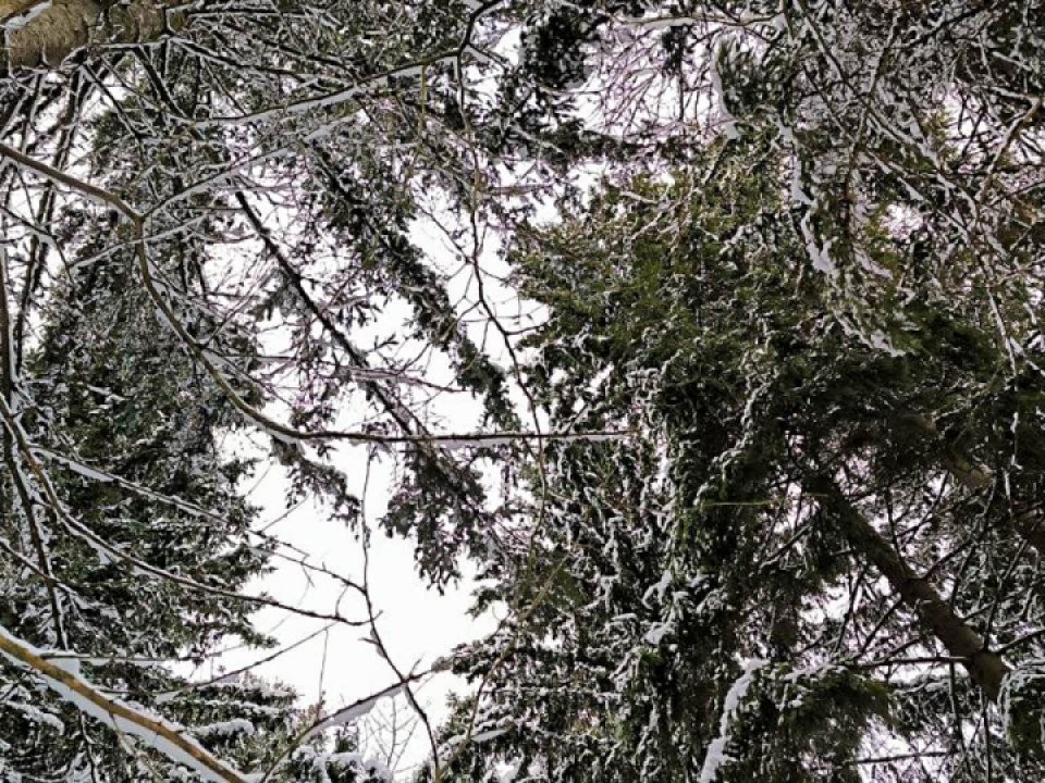 Погода в январе 2026 предскажет каким будет июль: что говорят народные приметы в Федулов день