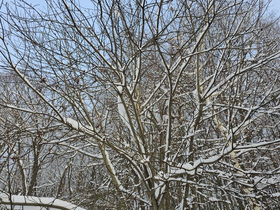 В следующие выходные на территории Подмосковья похолодает до аномальных значений