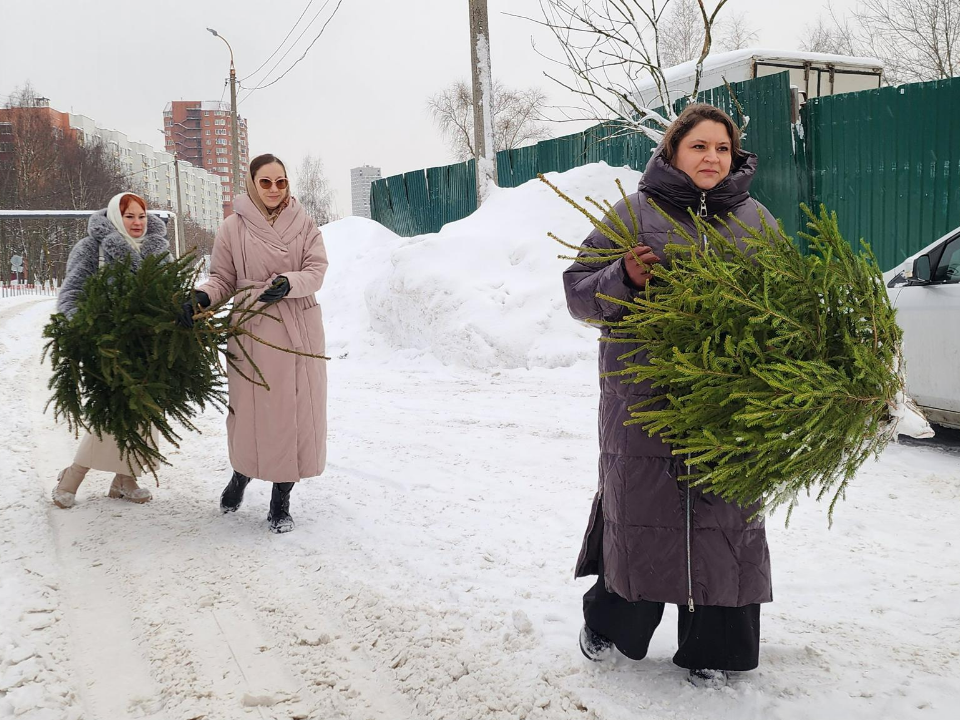 «Даем вторую жизнь»: химчане активно поддерживают акцию по утилизации новогодних елок