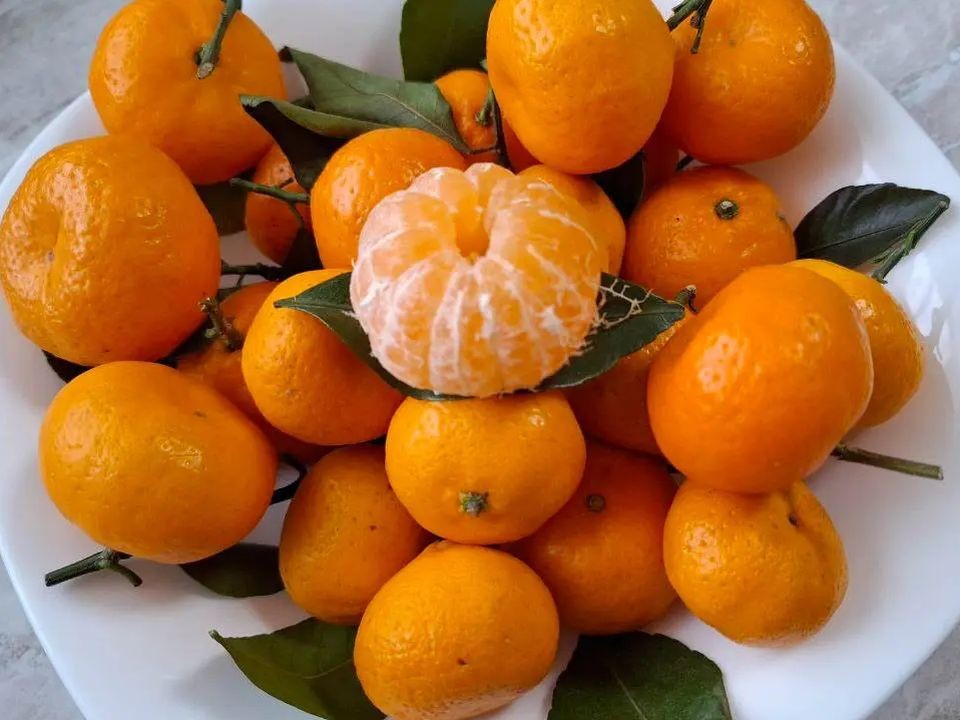 Опасный дуэт: с какими лекарствами нельзя сочетать популярный цитрус, о котором все молчат