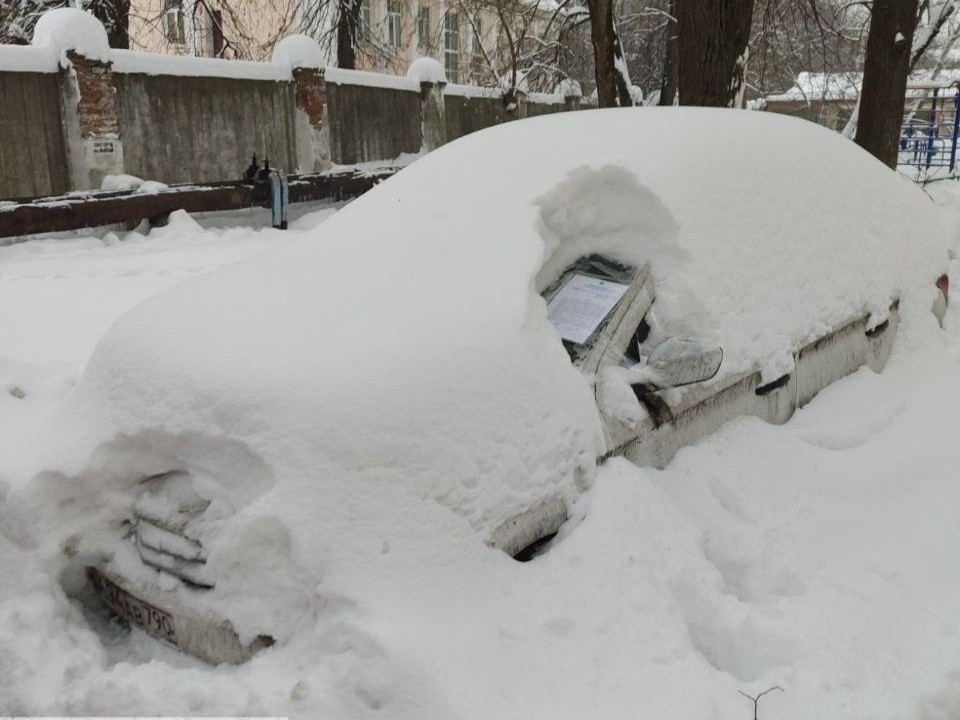 Хозяина снежной «брошенки» разыскивают в Коломне