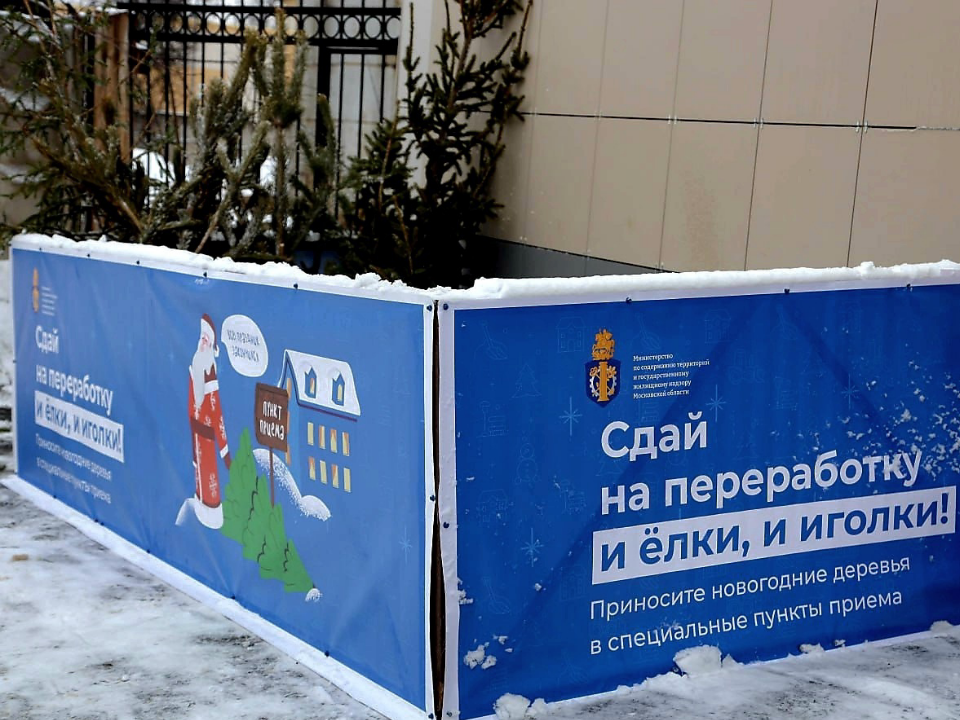 Известен список адресов в Лобне, где примут елки на переработку в 2026 году