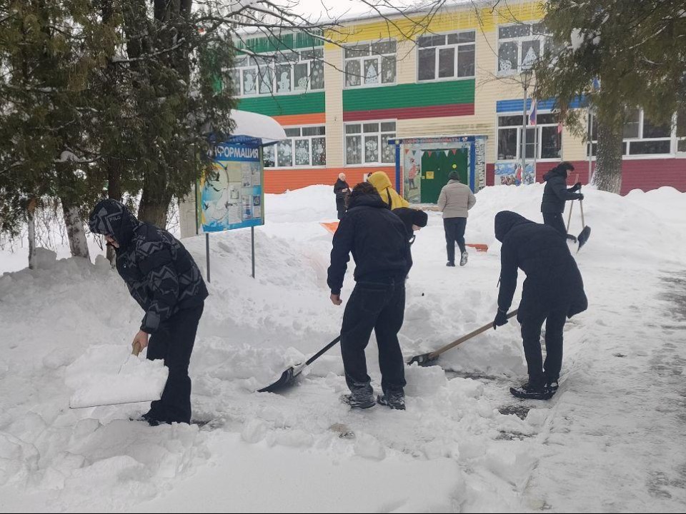 «Снежный десант» на марше: как подмосковные студенты с лопатами в руках пробивали дорогу к социальным объектам