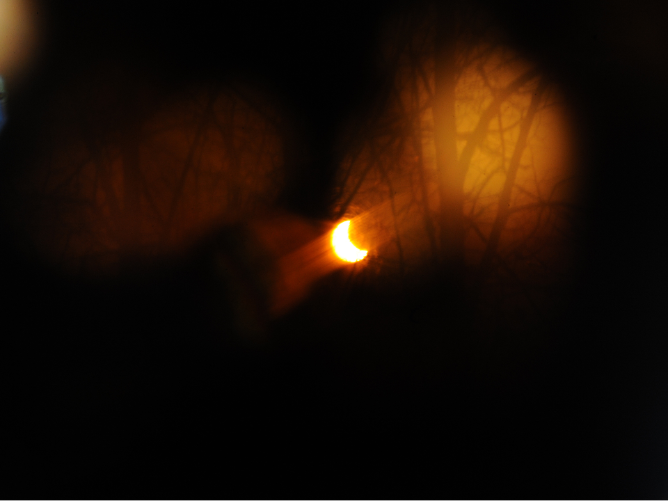 Календарь затмений на 2026 год: какие из четырех смогут увидеть жители Подмосковья