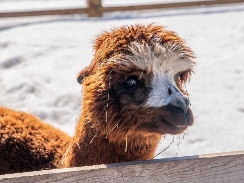 Названы лучшие места для семейного отдыха в Подмосковье: куда отправиться, что посмотреть и какие развлечения ждут детей
