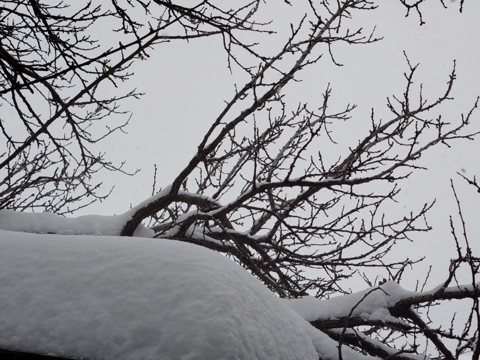 Крещенские морозы ударят в Подмосковье раньше: синоптик предупредил о -25 градусах к этой дате