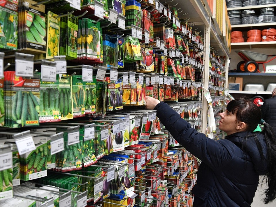 Старые и мятые — прочь: что важно знать при закупке семян для рассады