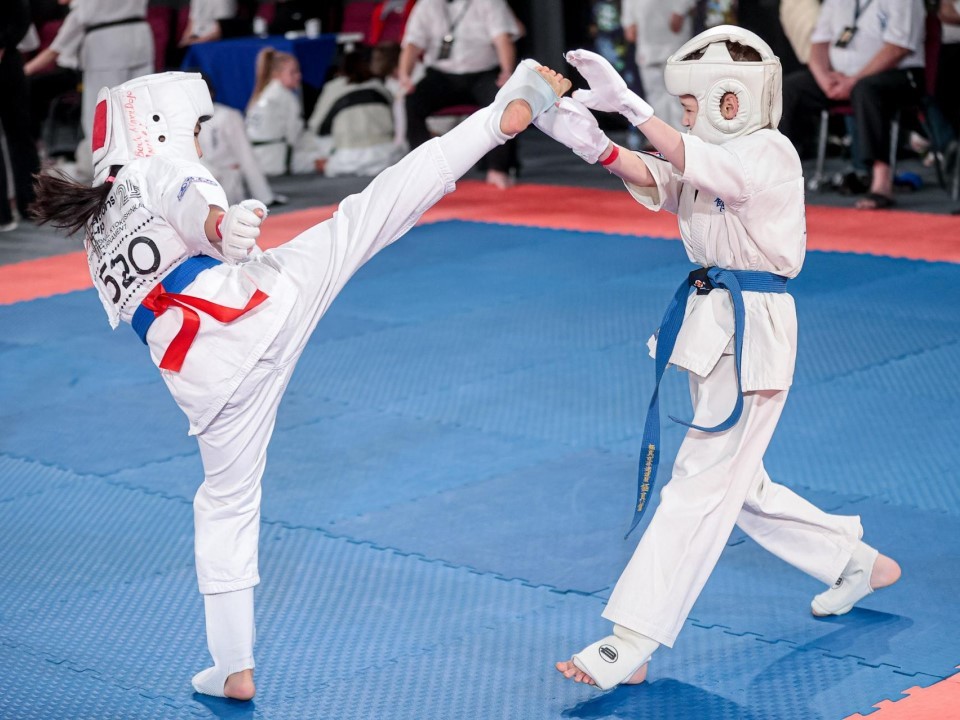 Более 1500 бойцов из 30 стран выйдут на татами: что ждет зрителей главного турнира по киокусинкай в 2026 году