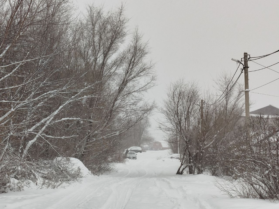 Метели, мокрый снег и резкий плюс: доберется ли поволжский буран до Подмосковья?