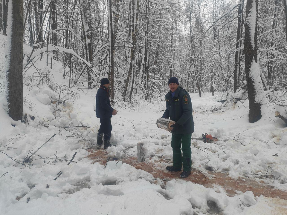 Зимняя операция завершена: территорию у пруда около деревни Танино очистили от валежника и сухостоя