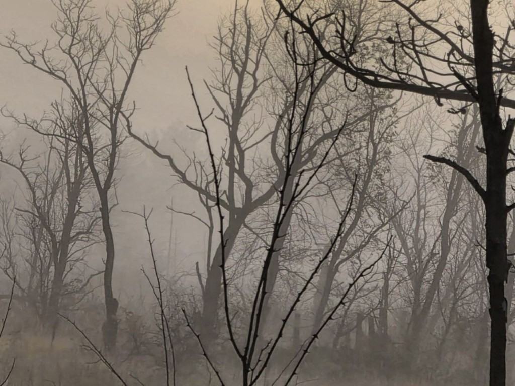 Последняя ночь разгула нечисти: почему 17 января наши предки избивали «черта» и боялись выходить из дома без чертополоха