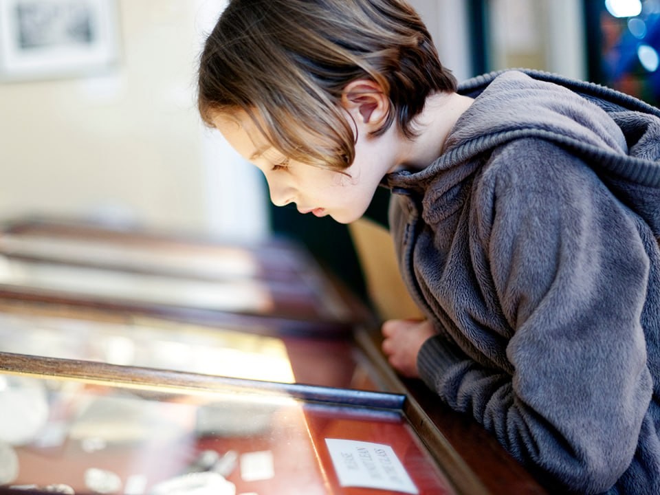 Лауреатов из Подмосковья наградят за участие в конкурсе «Россия — страна традиционных ценностей»