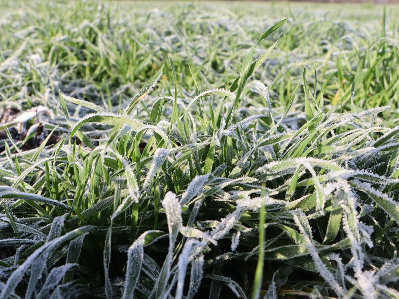 Циклон «Фрэнсис» накормит жителей Подмосковья: какие еще сюрпризы приготовила небесная канцелярия