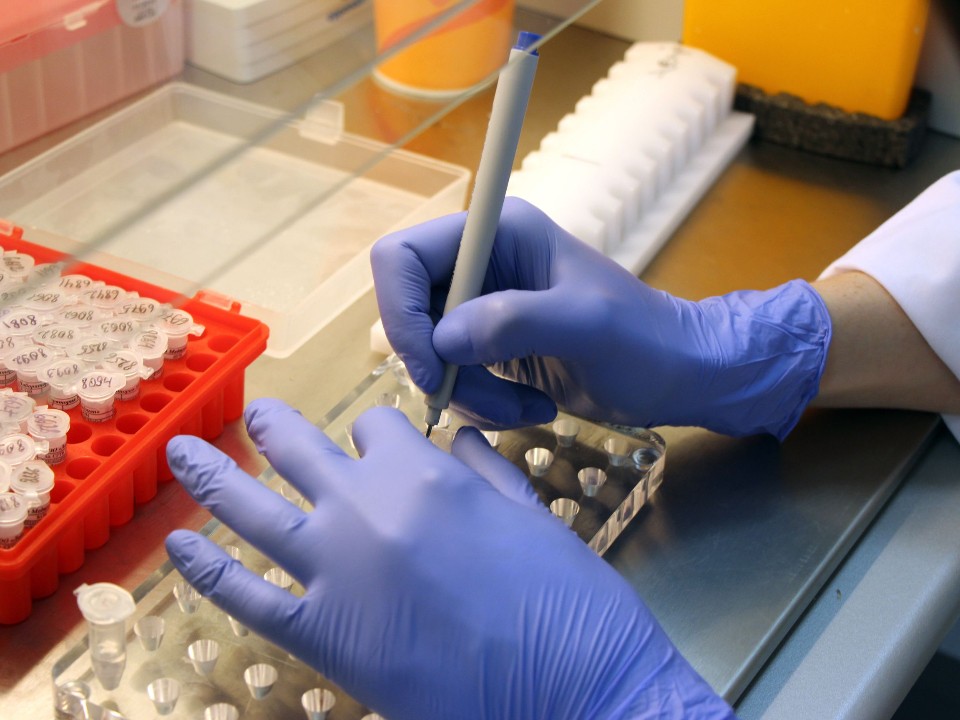 ДНК будут хранить десятилетия: обязательную геномную регистрацию могут ввести для военнослужащих