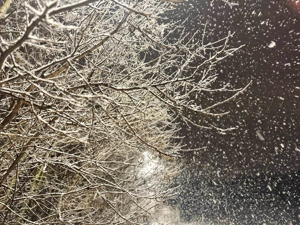 Готовьтесь к холоду: синоптики предупредили о морозах до −20°C в Подмосковье уже этой ночью