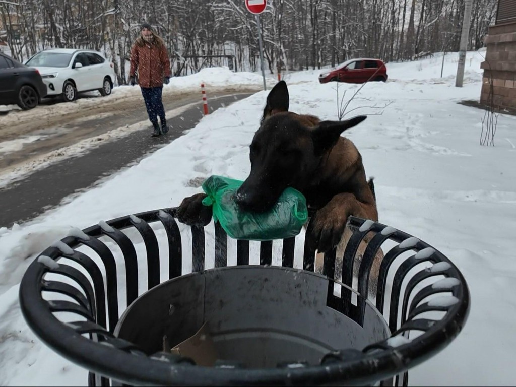 Пока люди сорят, он убирает: невероятная история Кинга из Раменского, которая заставит задуматься