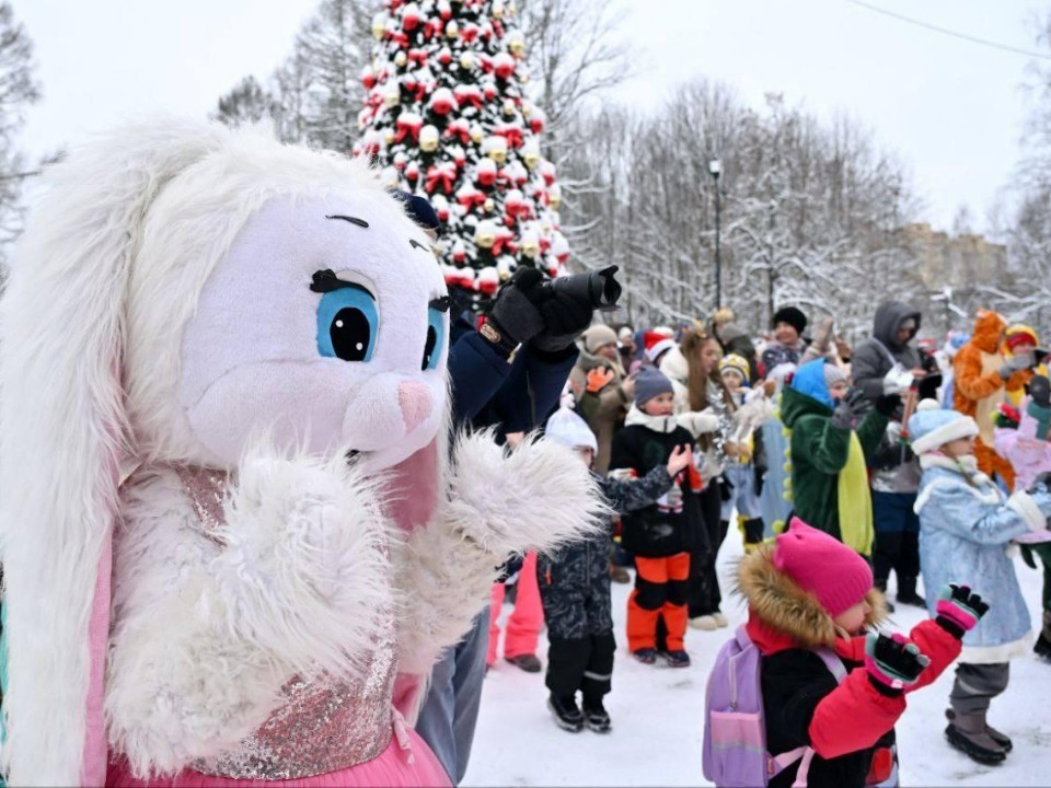 Сотни сказочных персонажей на одном километре: в Ступине провели уникальный новогодний забег