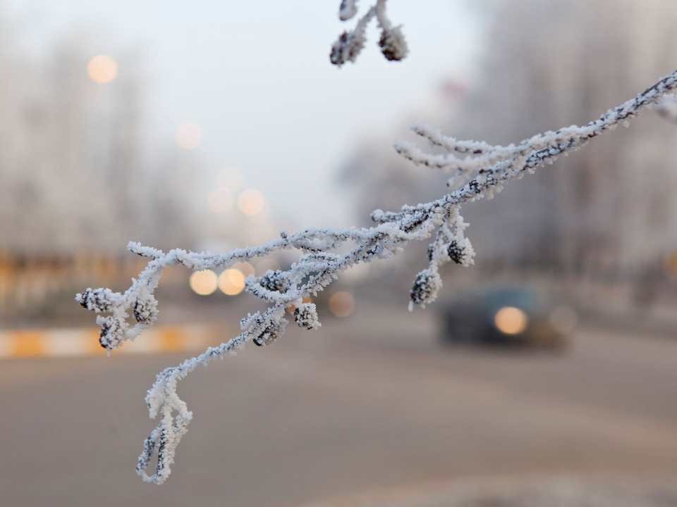 До -20 градусов: синоптики предупреждают о резком похолодании в Подмосковье с 13 января