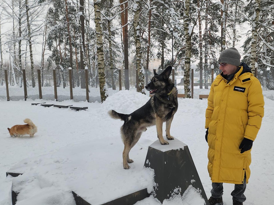 Кинолог высоко оценил новую площадку для выгула собак в Красноармейске