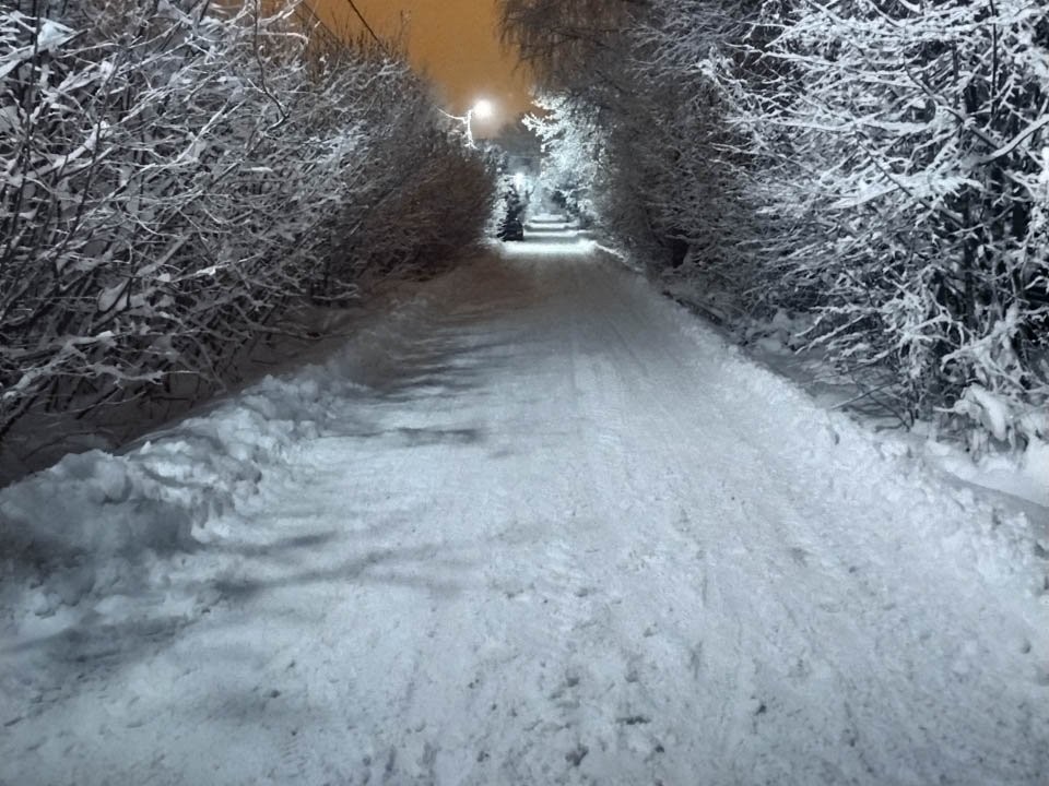 Видновчанам рассказали, как безопасно кататься с горки
