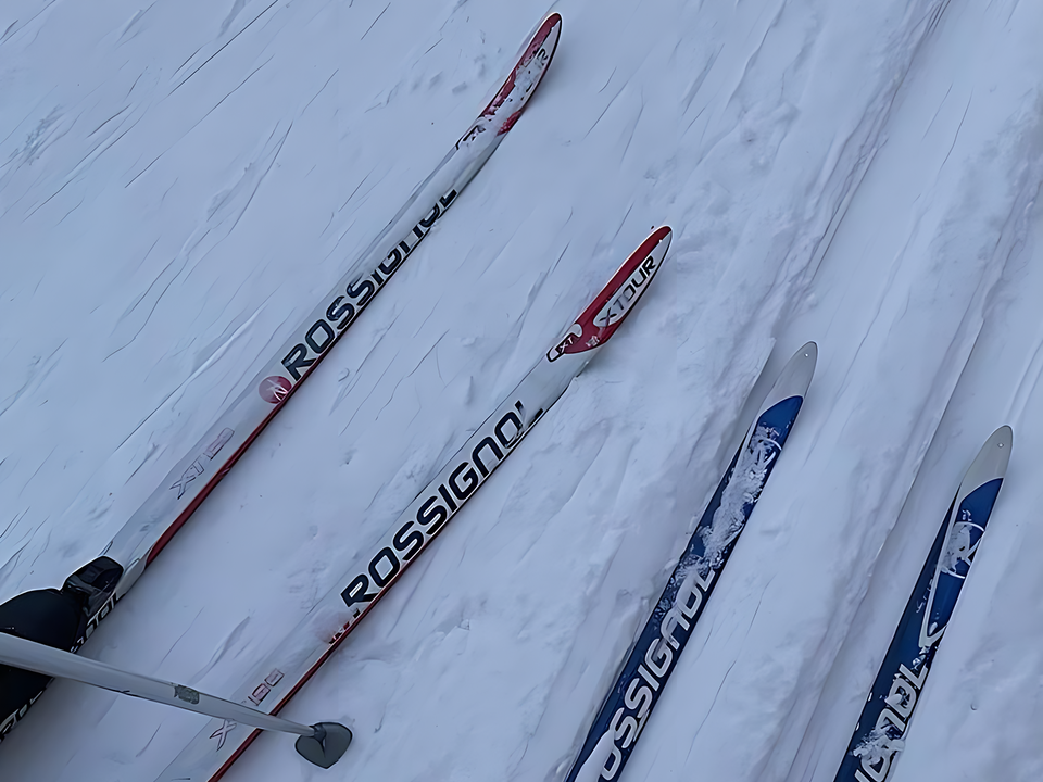 Лыжня для всех: как провести выходные с пользой в городском парке