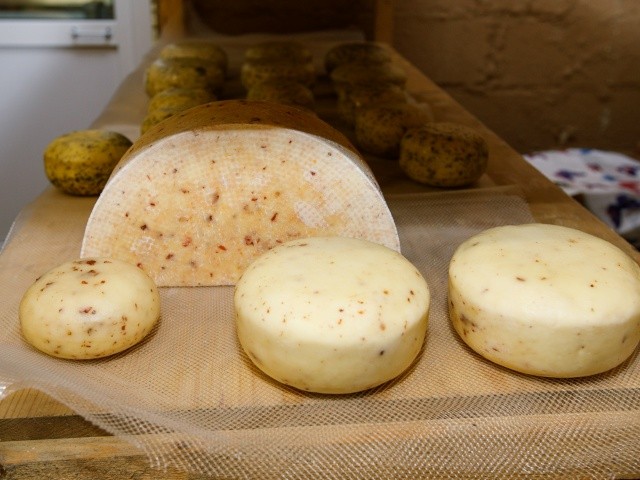 Буратта и халуми: чем отметить день сыра в Можайске