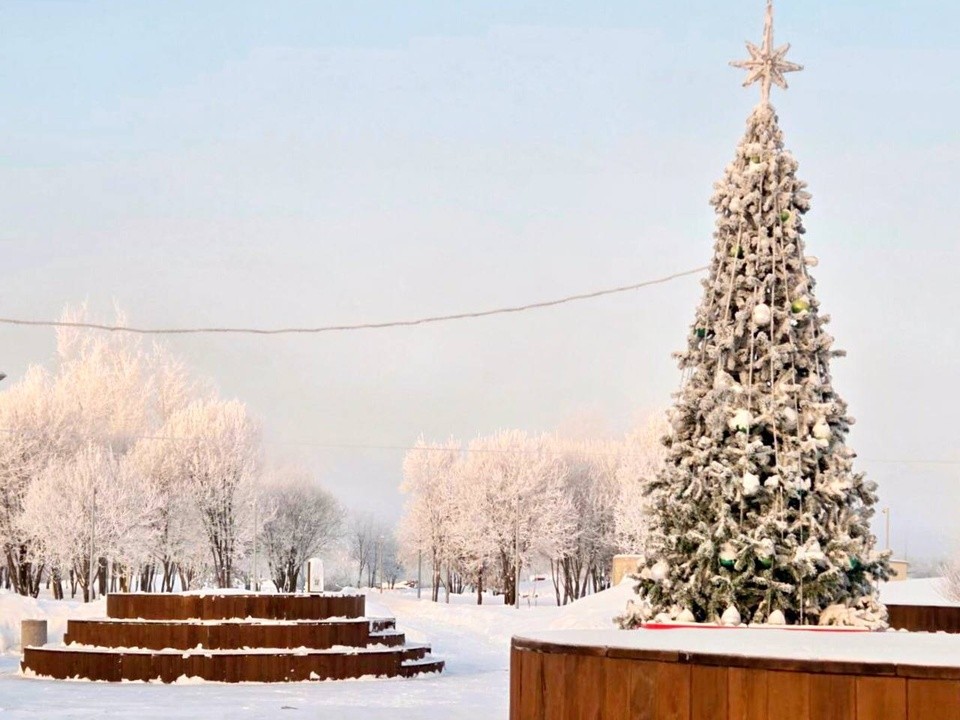 Концерт, спортивные квесты и чай: День студента отметят на «Бронницком лугу»