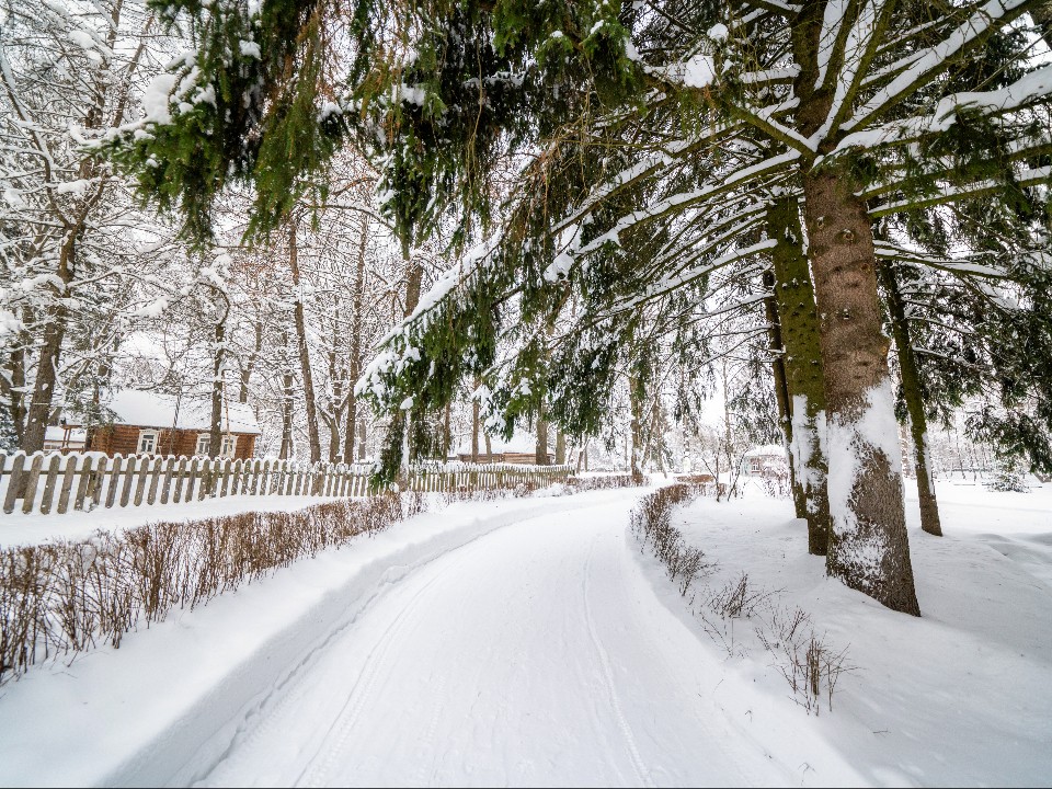 «Делаем то, что просят жители»: Воробьев — о том, как в подмосковных парках появляются лыжни и катки