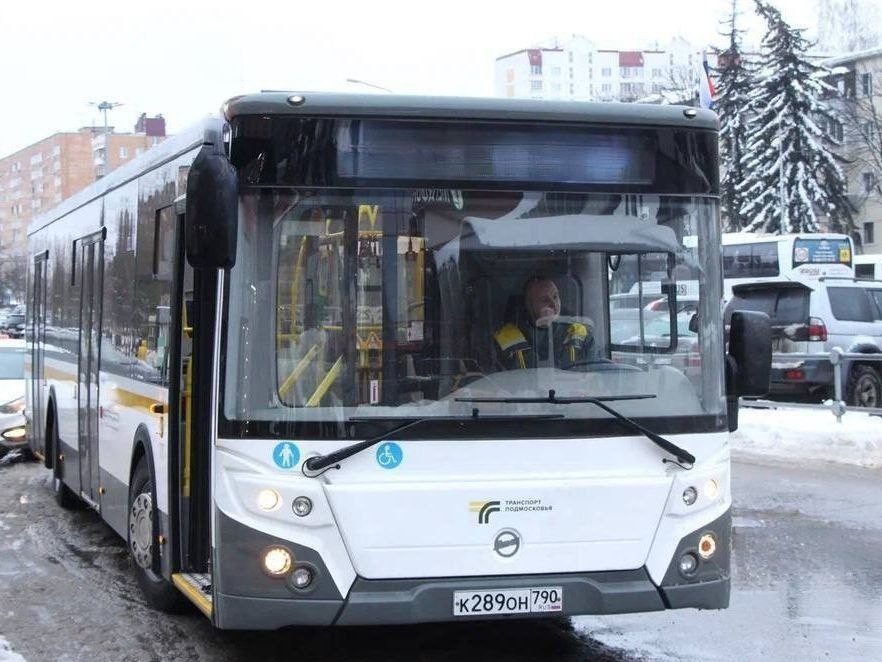 До 8 марта не доживет: сколько стоит в Подмосковье проводить в последний путь елку