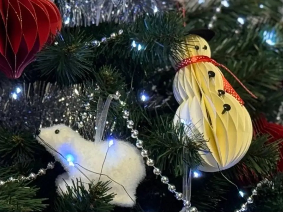 «Чудеса творят не только сказочные герои»: в МЧС исполнили новогоднее желание мальчика из Мытищ