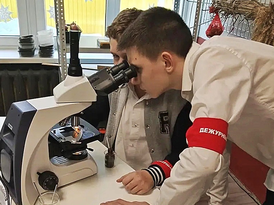 Агрономы будущего: в школе под Ступином готовят кадры для умного сельского хозяйства