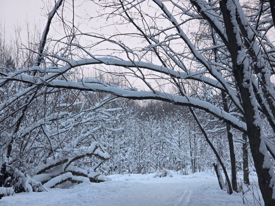 Заморозит до -20°С, а потом завалит до 38 см снега: синоптик — о мощнейшей атаке зимы на Рождество