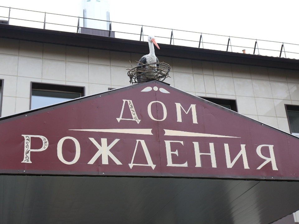 Преждевременные роды — не приговор: в роддоме Долгопрудного поделились историями спасения недоношенных детей