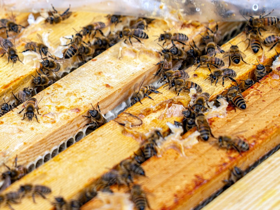 Народные приметы 17 января 2026: что можно и чего нельзя сегодня