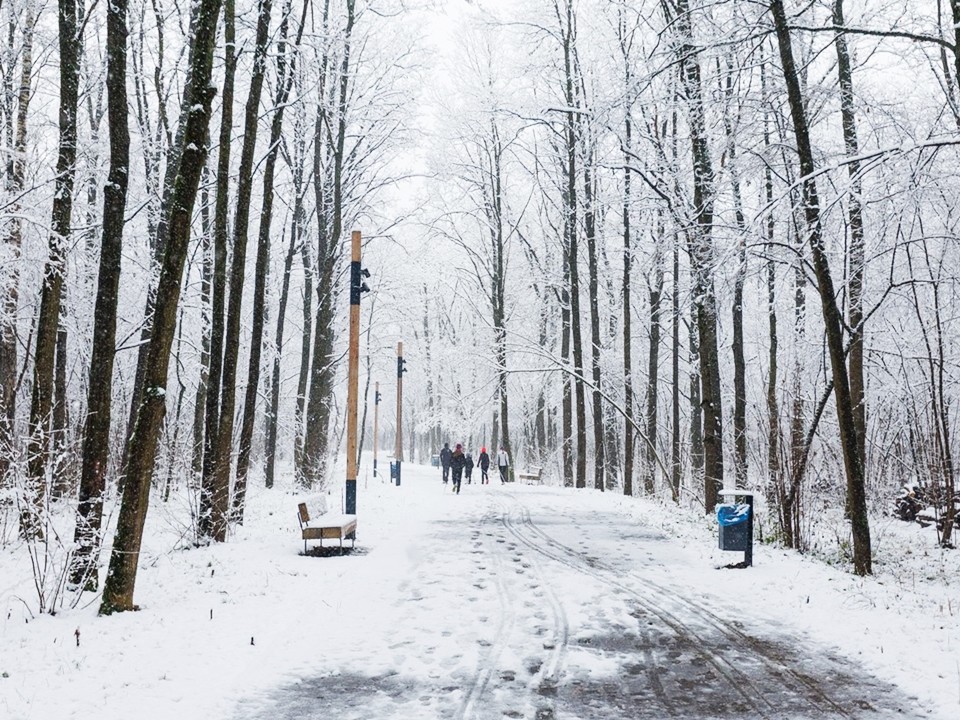 Снег будет идти двое суток: сугробы до полуметра при температуре –10 °C ожидаются в Подмосковье