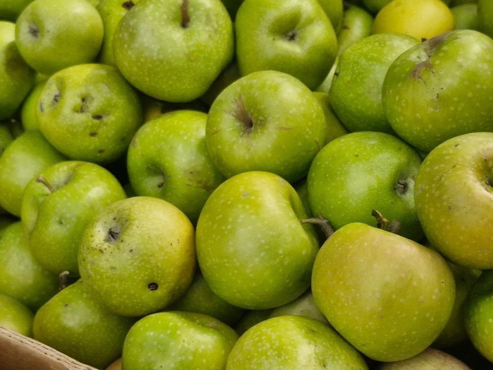 Вредная привычка: гастроэнтеролог рассказала, когда яблоки могут навредить желудку