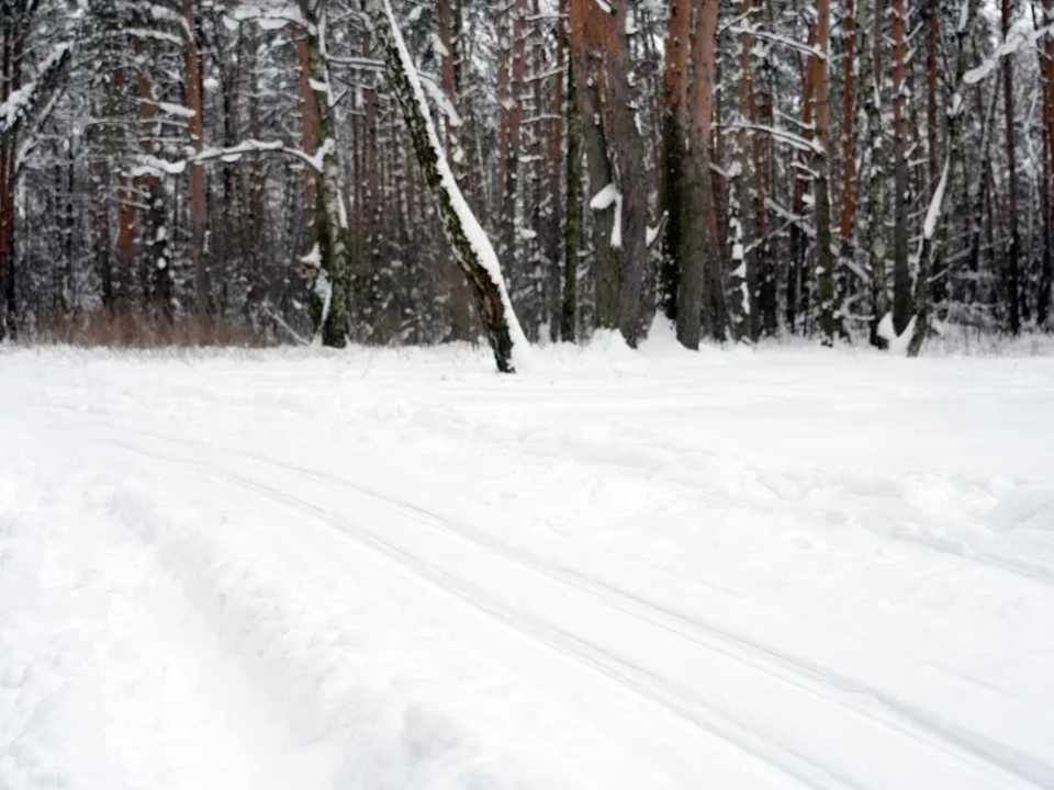 Лыжные трассы в Котельниках: где кататься зимой и какая дистанция самая длинная