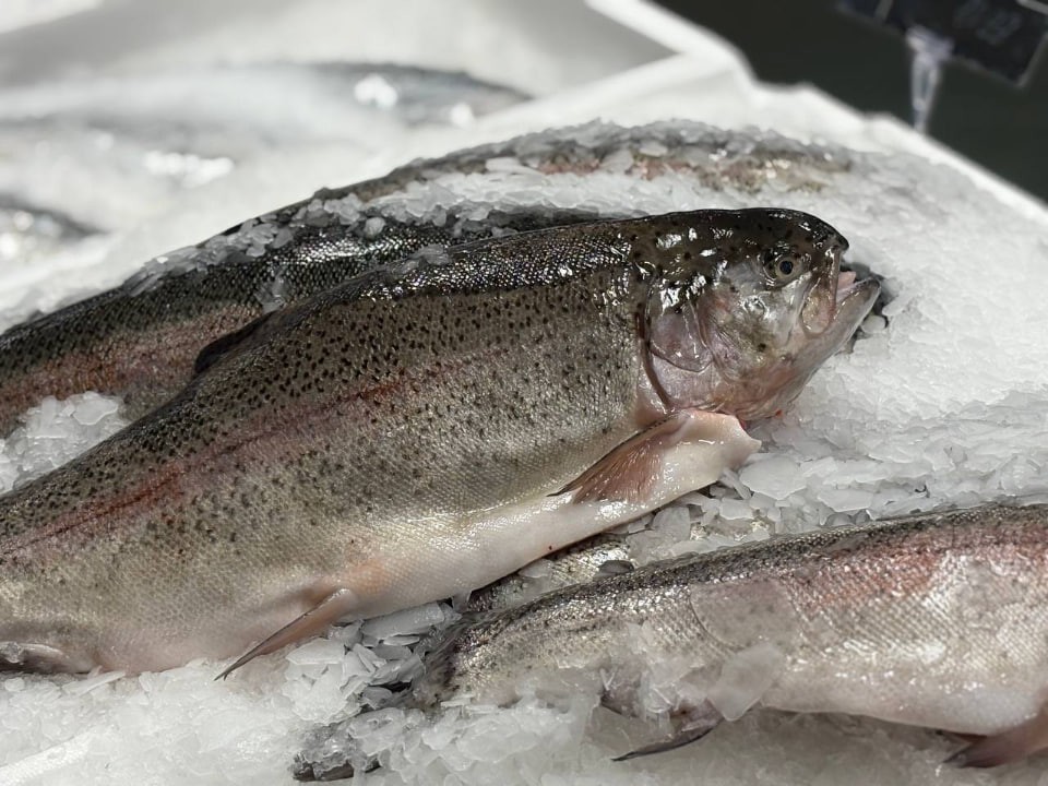 Норвежцы решили не делиться: что будет с ценами на мойву в 2026 году